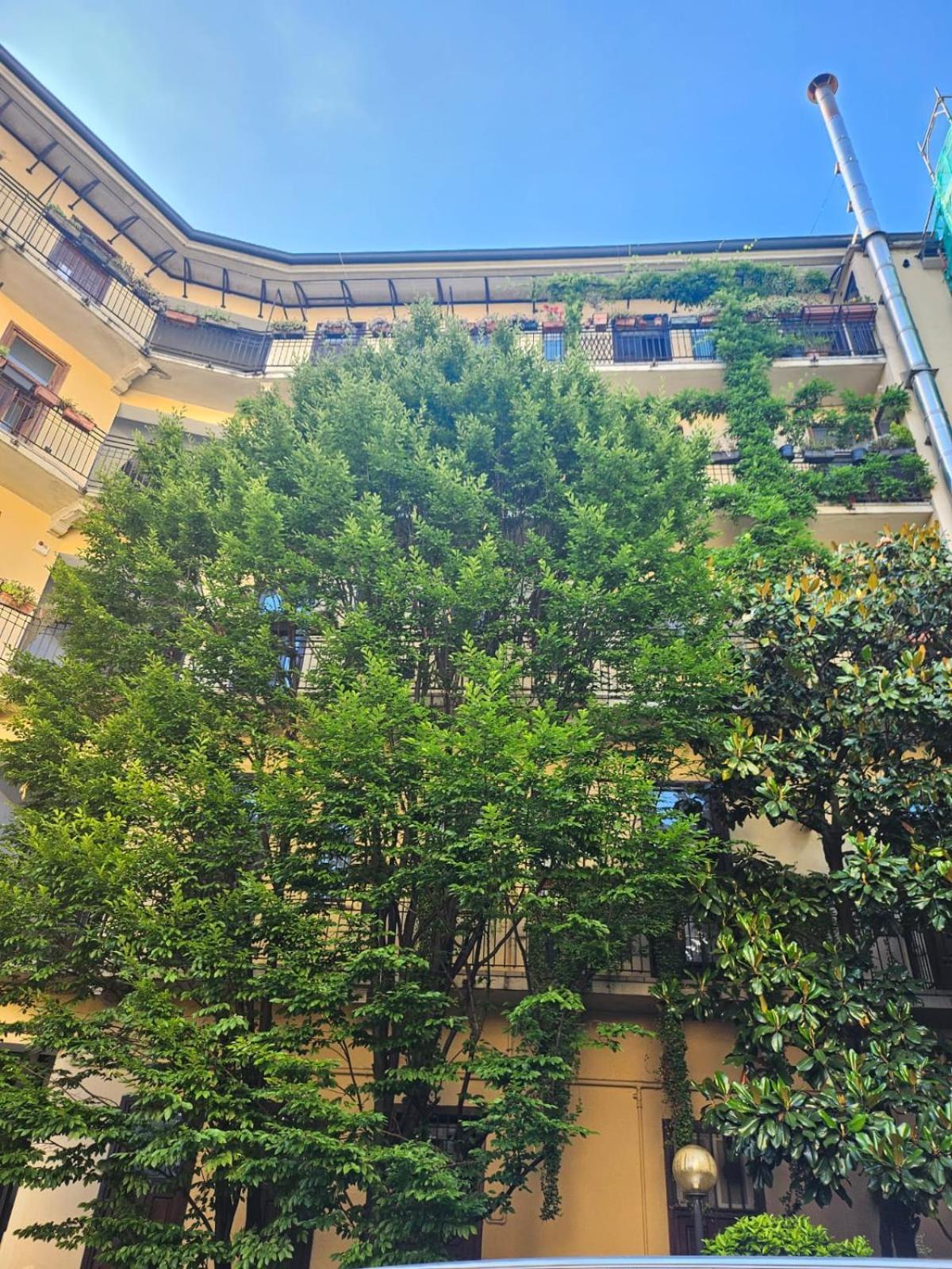 Apartment Chavez